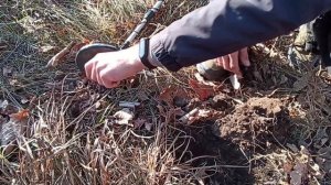 Коп металла с металлоискателем MD-4030