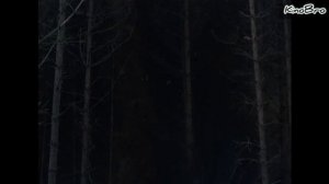 Иди и смотри / фильм 1985 / трейлер