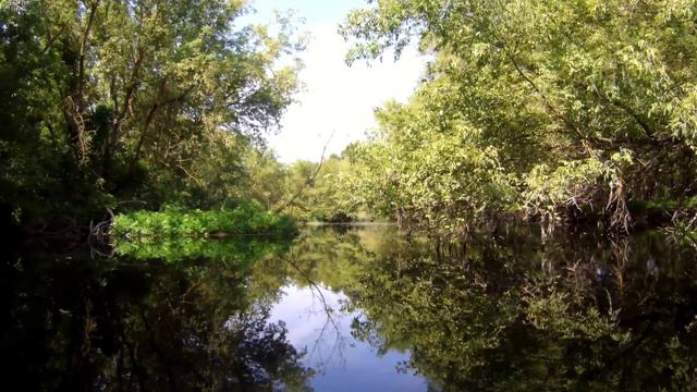 SUP сплав по реке Сейм 27 07 2024 смотреть онлайн