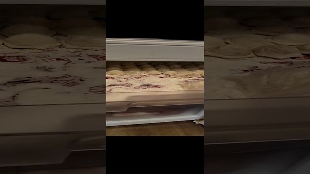 Пельмешки