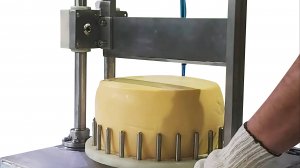 Машина для резки сыра для небольших производств Завод Агротех