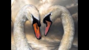 Молитва об исцелении обид на мужчин