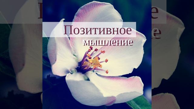 Роса на новой траве смотреть онлайн