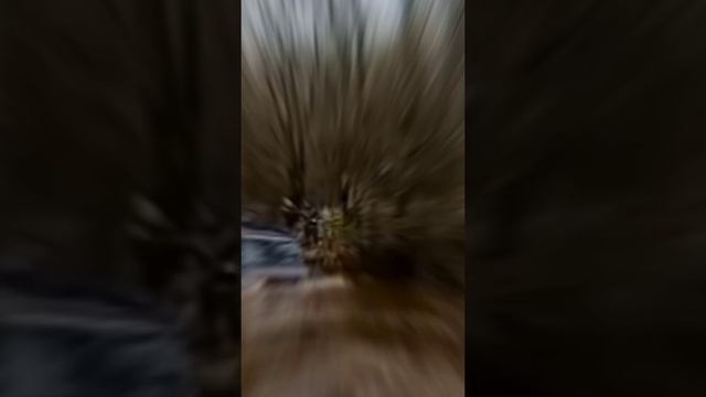 УАЗ патриот рулит #оффроад #уаз смотреть онлайн