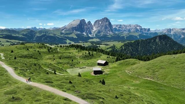 Мгновенное избавление от стресса и беспокойства • Пение птиц в лесу, успокаивающая, целебная музыка смотреть онлайн