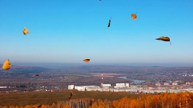 Осень золотая / Golden autumn / 2021 #золотаяосень #goldenautumn #hiking #осинники #кузбасс #сибирь