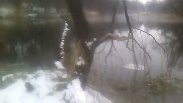 Хорь идет отмечать День Св. Валентина смотреть онлайн