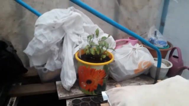 Потеряли месяц ...!!!!! Работы очень много , а сил ещё нет... смотреть онлайн