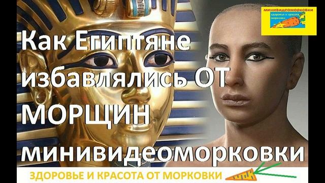 КАК ЕГИПТЯНЕ ИЗБАВЛЯЛИСЬ ОТ МОРЩИН минивидеоморковки смотреть онлайн