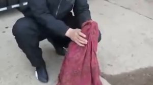 реставрация амортизаторов - зарядка стойки газом