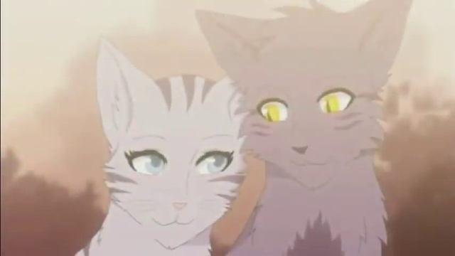 Серебрянка и Крутобок - Ты Только Мой [Заказ с канала - Вислоухий Кот-Воитель]