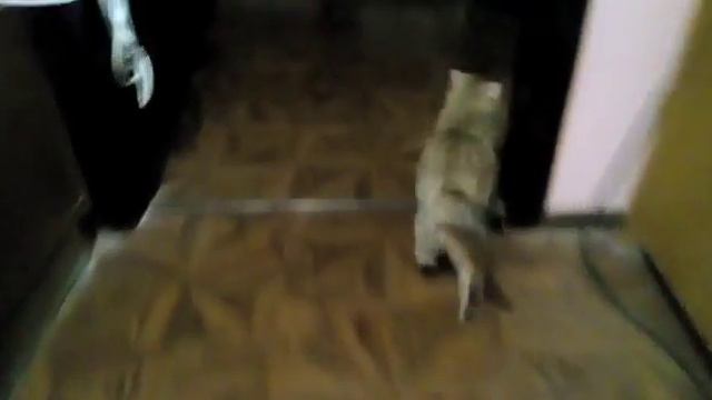 Заботливая мама