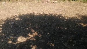 фундамент на покрышках