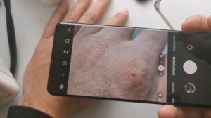 Galaxy s21 ultra, режим макросъёмки.