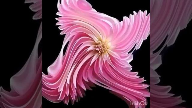 Топ для тех кто видел всё! (Значит не всё!) смотреть онлайн