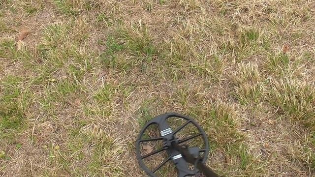 NOKTA SIMPLEX ULTRA Metal Detector Ricerca Dal Vero Prova In Campo #gold #metaldetecting #monete
