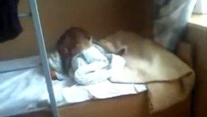 Собака трахоет одеяло
