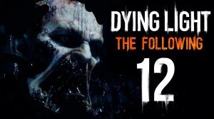 Dying Light: The Following Hard [FREEKILL; Butcher] #12