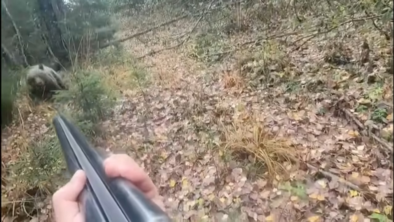 Выдержка и человечность смотреть онлайн