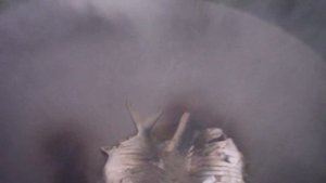 ЖАРЕНАЯ РЫБА В КАЗАНЕ ВСЕГДА ОЧЕНЬ ВКУСНА!!!