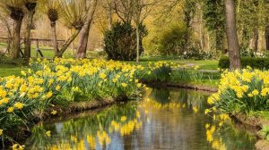 Всё вернётся к своим истокам...