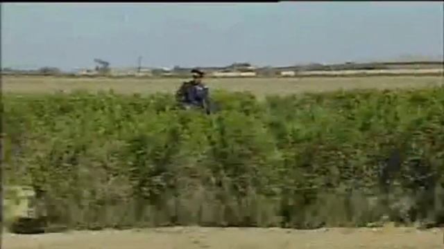 Ахалтекинские скакуны – гордость туркменского народа/ Turkmen Ahalteke Atlary/ akhal - teke horses смотреть онлайн