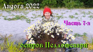 #7 Водномоторные походы по Ладожским шхерам 2022 / Пеллотсаари