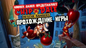 Чип и Дейл на денди быстрое прохождение | Chip ’n Dale Rescue Rangers nes playthrough