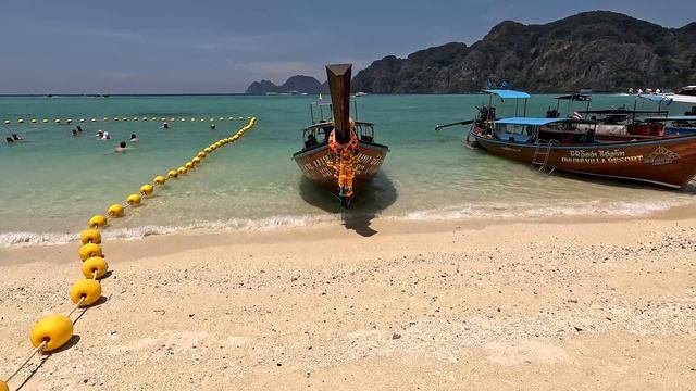 PhiPhi 2024