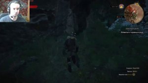 The Witcher 3: Wild Hunt: 37 серия^