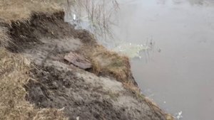 Первые выезды на ирбис ттр 125