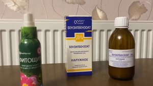 Борьба с белокрылкой - вредителем комнатных растений в домашних условиях!