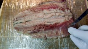 Как почистить селедку быстро и без костей. Как разделать селедку