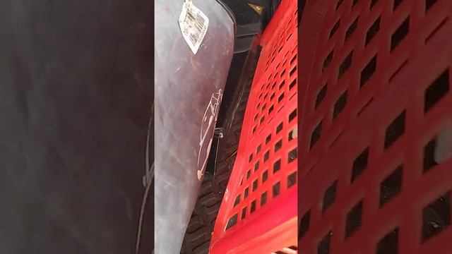 Спасение рядовой Мурки смотреть онлайн