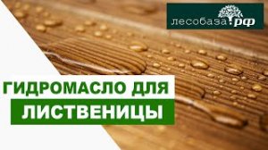 Какое масло лучше для ЛИСТВЕННИЦЫ  Лесобаза.рф