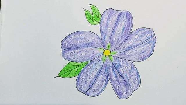 Night Sky Petunia Flower Drawing in Color Pencil II смотреть онлайн