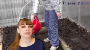 Чудесный эффект от АСПИРИНА в саду и огороде! АСПИРИН для подкормки помидор!