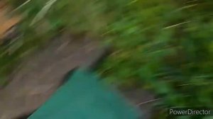 Рыбалка. р Тосно