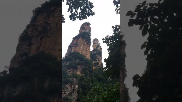 Китайские горы #travel #china #zhangjiajie