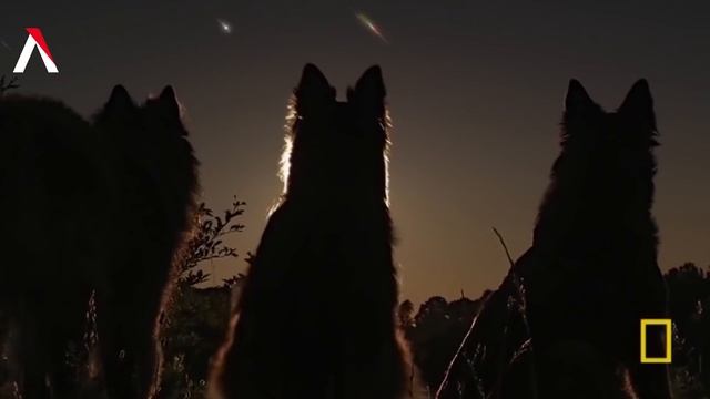 ЧТО ПРОИЗОЙДЁТ , ЕСЛИ ЛЮДИ ВДРУГ ИСЧЕЗНУТ смотреть онлайн