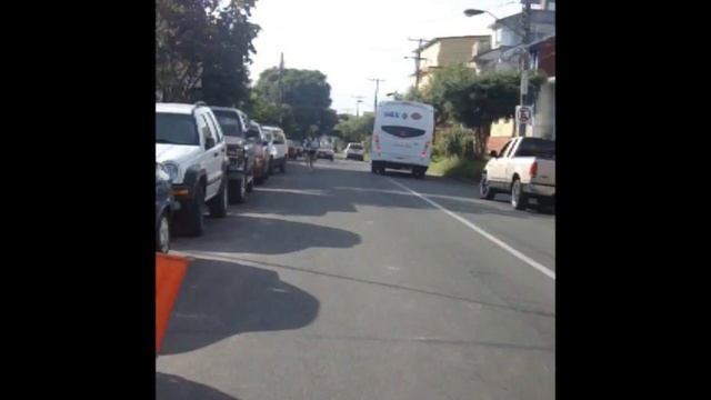 carrera san bruno 2011 6 km ganada por carlos yahir peres rivas смотреть онлайн