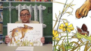 Разбор иллюстраций из детских книг. Часть 2. Работы художников-иллюстраторов.