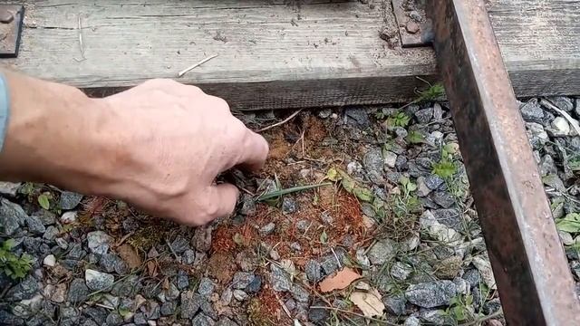 Стрелочный перевод уже) смотреть онлайн