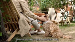 Какие команды щенок должен знать в 6-8 месяцев?
