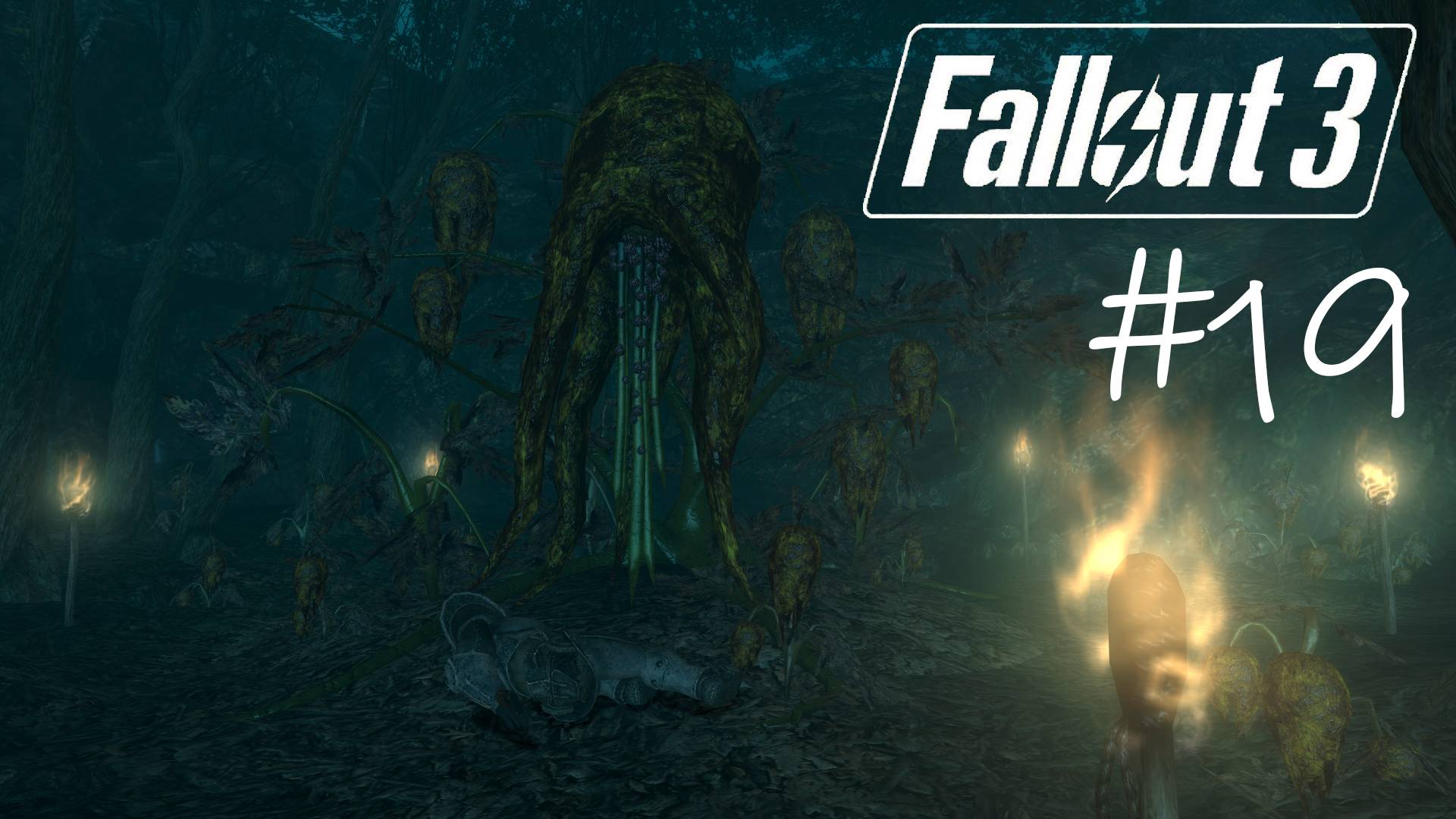 Fallout 3 #19