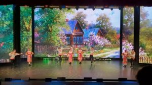 Владимирская топотуха