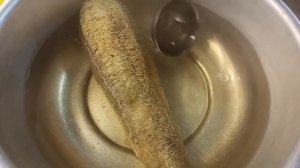 ЛЮФА? КАК ВЫРАСТИТЬ МОЧАЛКУ ?                                УСТАНОВИЛИ АРКУ -ДЕРЖАЛКУ???