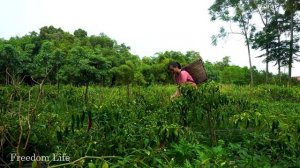 Single Mom - I Took My Son to See The Doctor. Sell Chili to Buy Rice, Meat to Cook Porridge