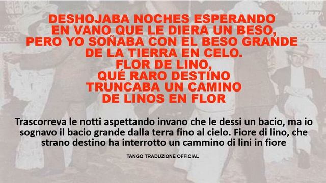 FLOR DE LINO - TRADUZIONE IN ITALIANO - TANGO KARAOKE OFFICIAL смотреть онлайн