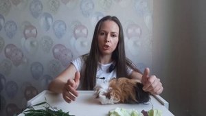 10 способов убить морскую свинку